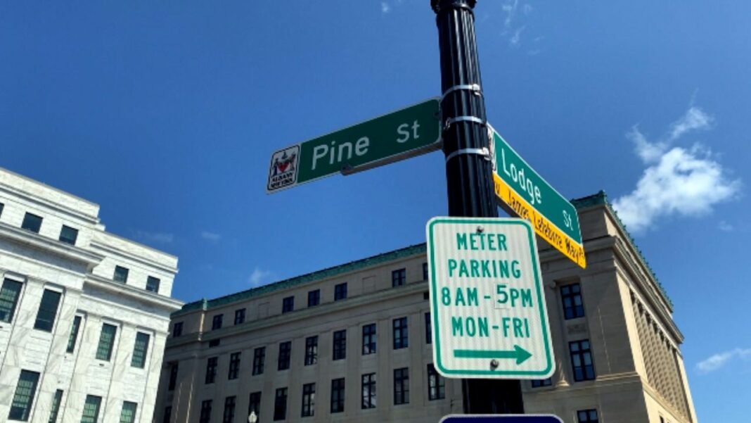 Albany Co. Dem. chair on early mayoral primary announcement